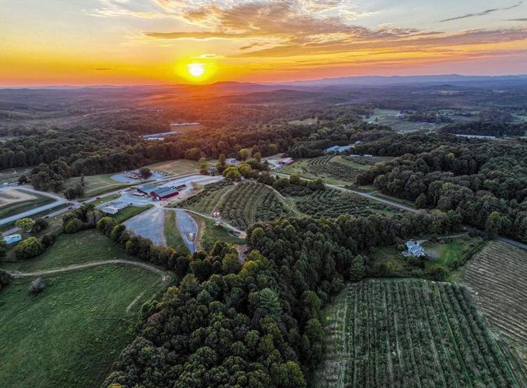 B.J. Reece  Orchards